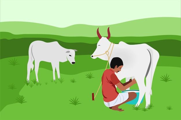 Indian dairy